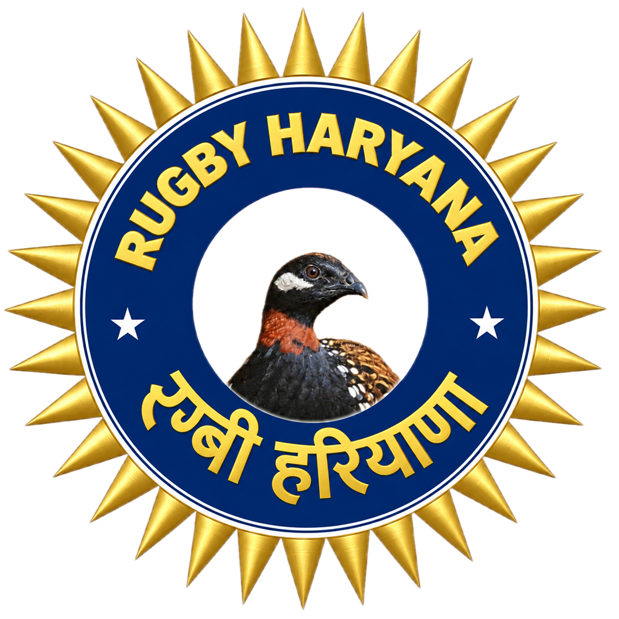 Rugby Haryana